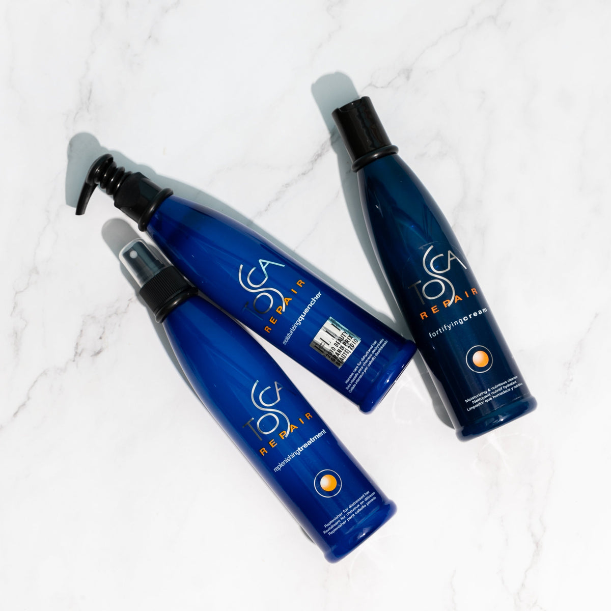 Ensemble Tosca - Repair